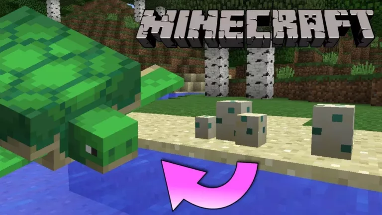 How Long Do Turtle Eggs Take To Hatch in Minecraft? 19