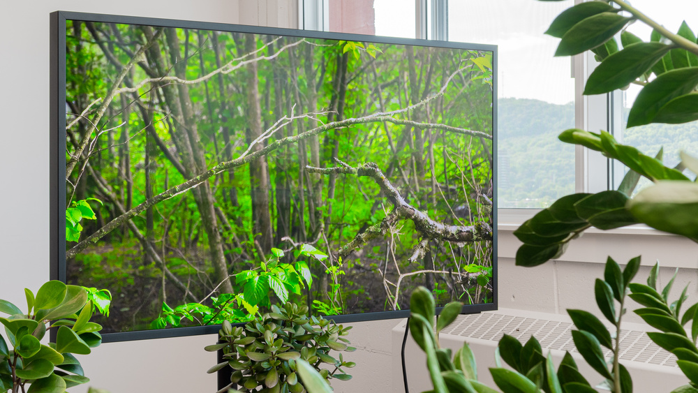 How to Protect Your Vizio Outdoor TV? 1