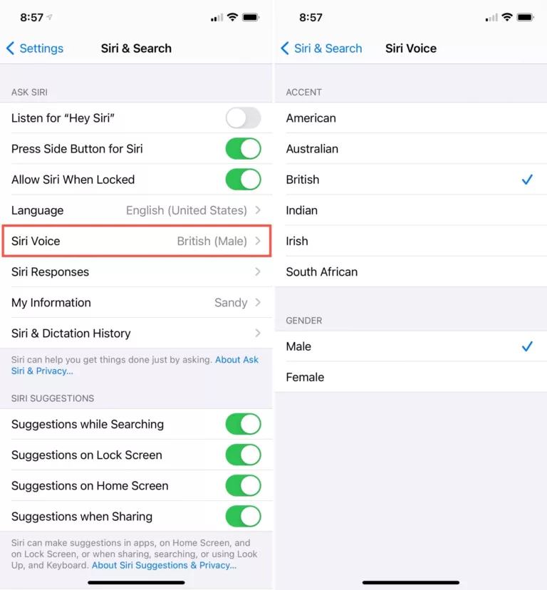 How to Change Siri's Accent to British on Your iPhone? 19