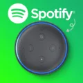 How to Troubleshoot Spotify Issues on Alexa in 2023? 17