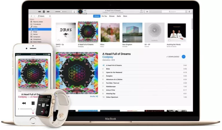 Does Apple Music Work Offline? 3