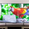 The Pros and Cons of Hisense TVs 3