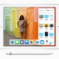 How Much Does Apple Pen For iPad Cost? 17