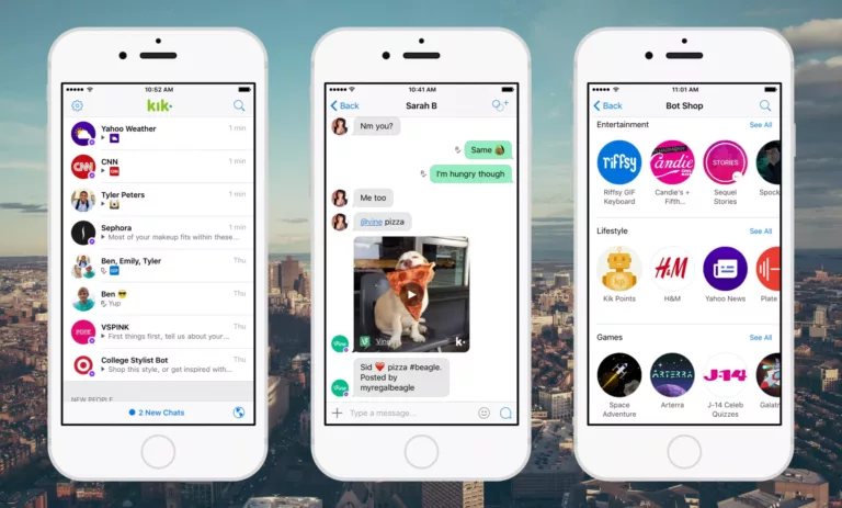 Exploring the World of Kik Bots 9