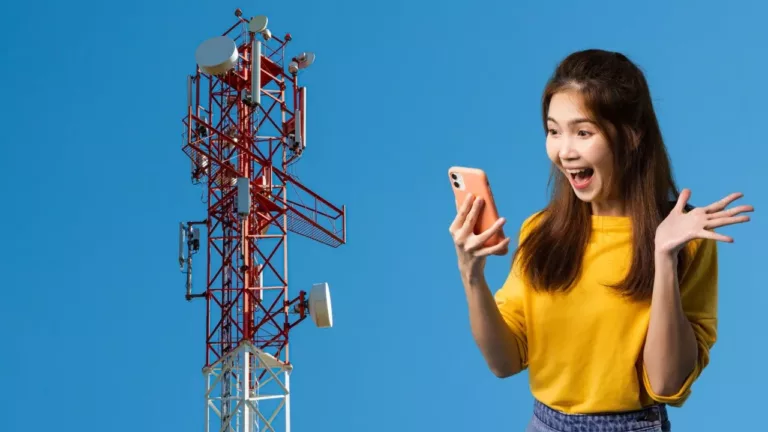 Which Cell Service Uses Verizon Towers? 13