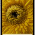 How to Delete Photos From an Apple Device? 17