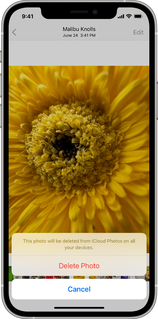 How to Delete Photos From an Apple Device? 7