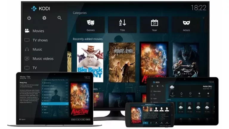What Can You Get On Kodi Firestick? 15