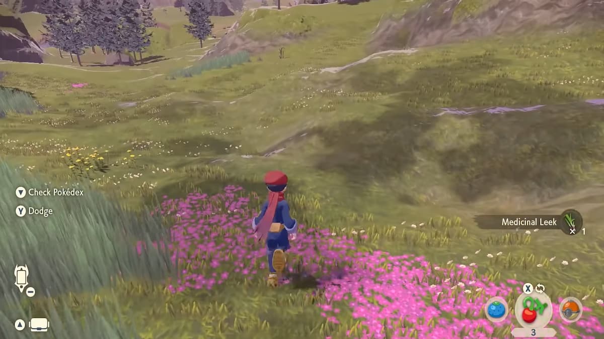 How to Find Medicinal Leeks in Pokémon Legends Arceus? 1