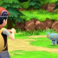What to Do When Access Route 225 is Blocked in Pokemon BDSP? 5