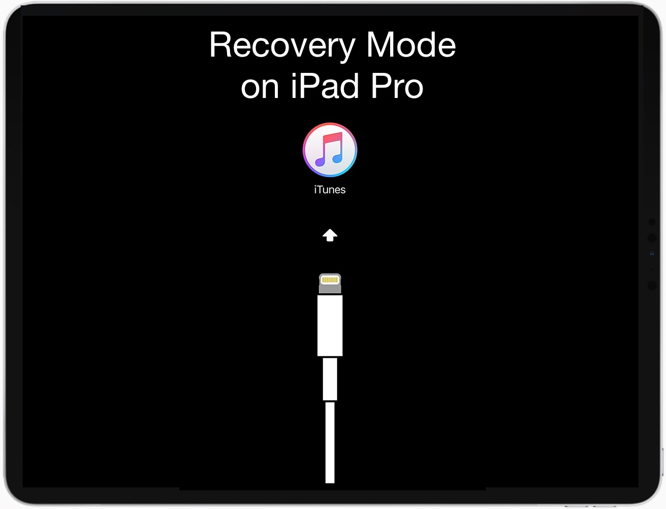 How to Use Recovery Mode on Your iPad? 1
