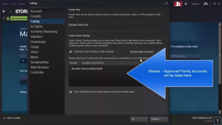 How to Troubleshoot Steam Family-Sharing Issues? 17