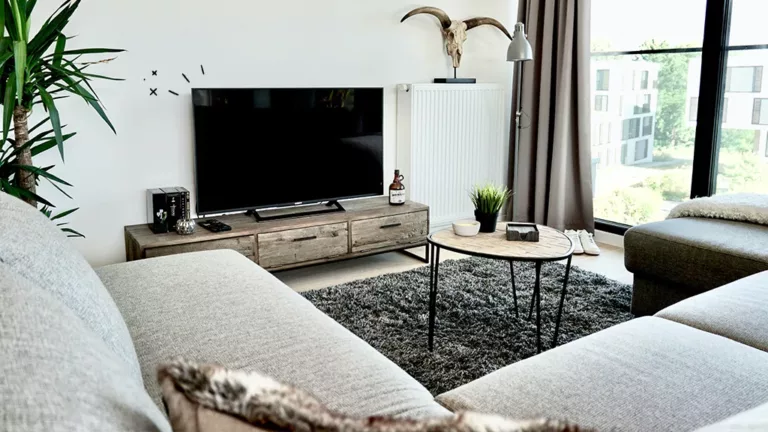How to Find the Perfect TV Size for Your Room? 13