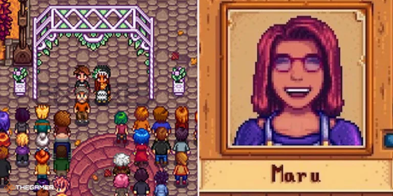 What Does Maru Love in Stardew Valley? 19