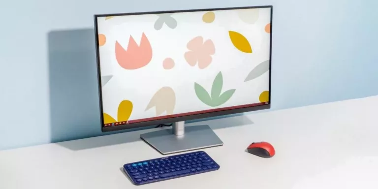 All You Need to Know About Monitor 15