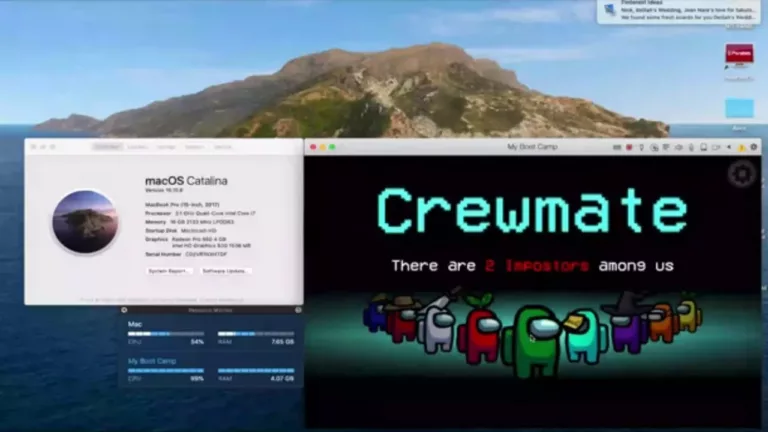 How to Play Among Us On Mac? 11