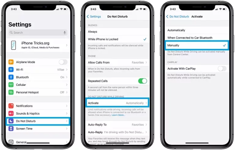 Why Calls Going Straight to Voicemail on iPhone 12? 17