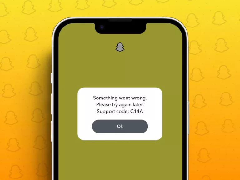 How to Fix the 'Something Went Wrong' Error in Snapchat? 15