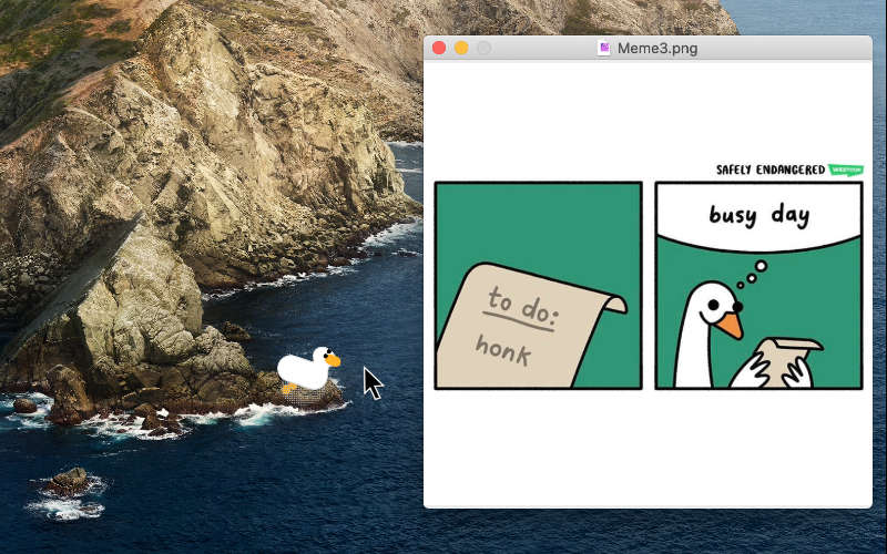 How to Get Rid Of Desktop Duck? 1