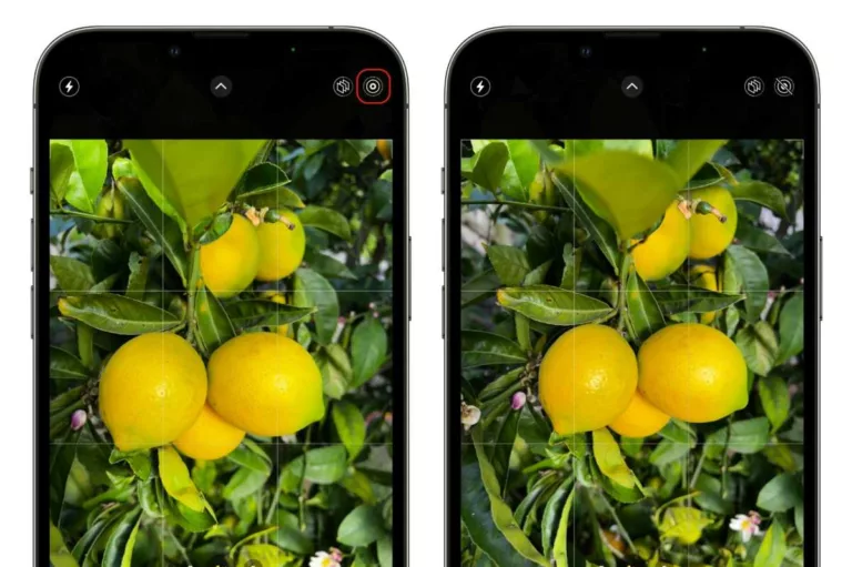 How to Turn Off Live Photos on Your iPhone? 13