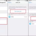 How to Trust App on iPhone iOS 14? 13