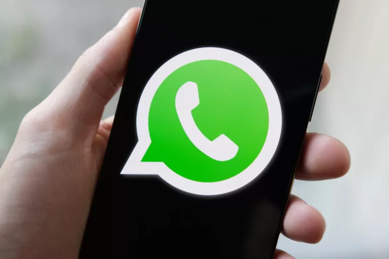 Exploring the Features of WhatsApp Status 19
