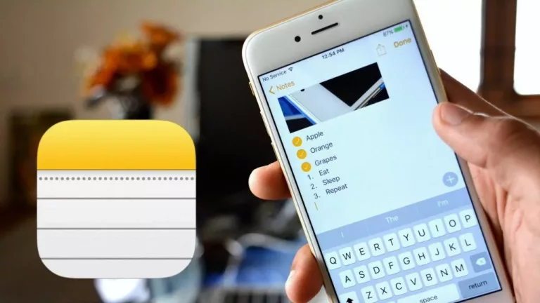 How to Back Up iPhone Notes? 1