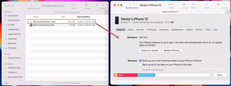 How to Easily Add Custom Ringtones to Your iPhone in Big Sur? 13