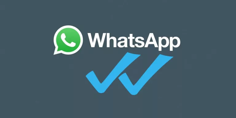 Understanding Blue Check Marks on WhatsApp 13