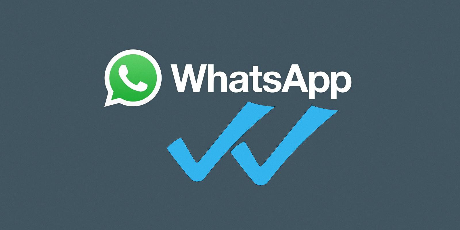 blue check marks on whatsapp