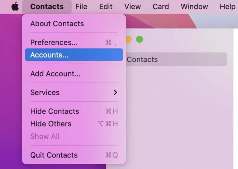 Troubleshooting Contacts Not Showing on Mac 11