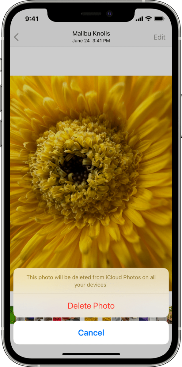 How to Delete Permanently Recently Deleted Photos on iPhone? 1
