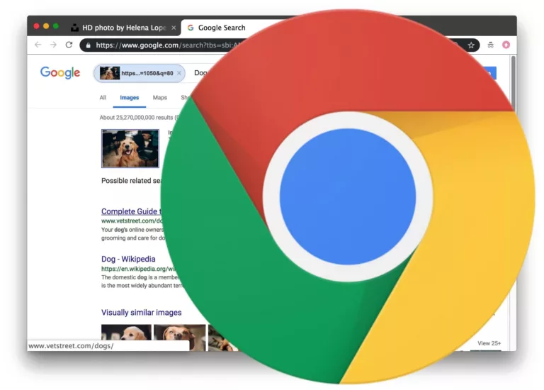 Quick Tips for Using Google Reverse Image Search Shortcut 5