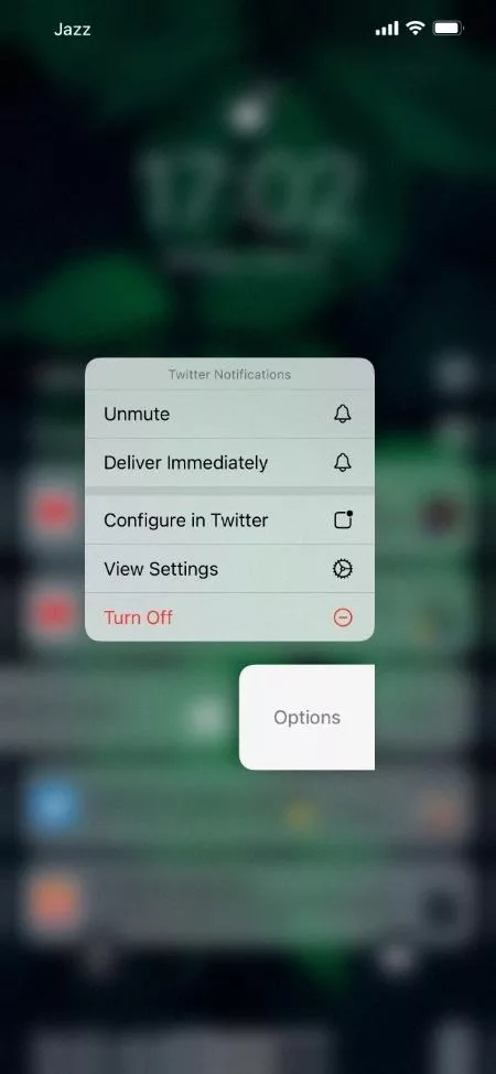 How to Unmute Notifications on iPhone? 13
