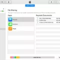 How to Set Up File Sharing on Your Mac? 13
