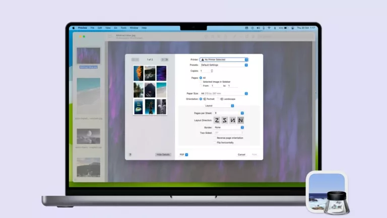 Exploring the Preview Settings on Mac 7
