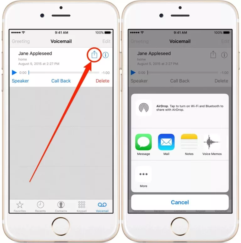 How to Manage Saved Audio Recordings on iPhone? 9