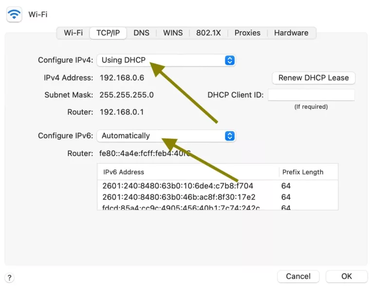 How to Solve the Self-Assigned IP Error on Macs? 11