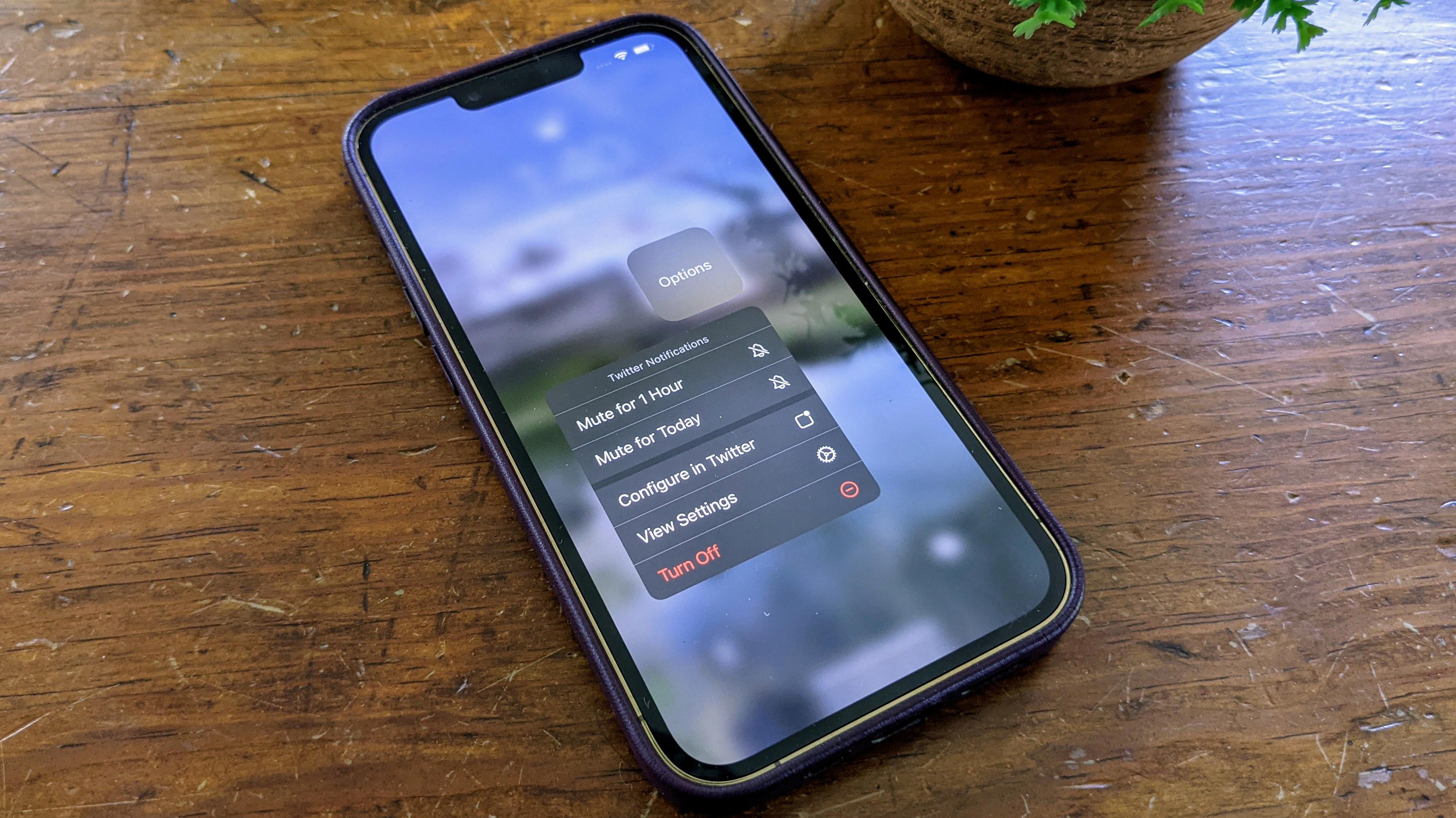 temporarily mute notifications ios