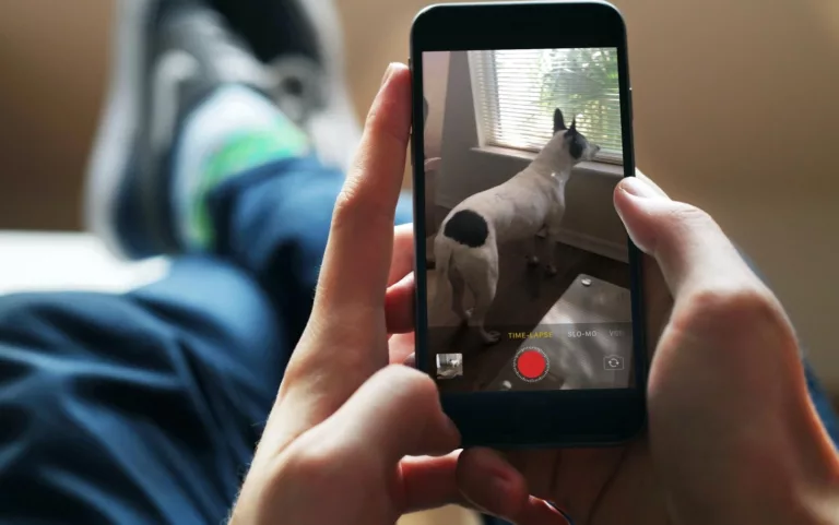 How to Create Epic Time-Lapse Videos with iPhone 12? 3