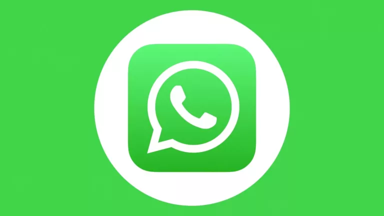 Does WhatsApp Share Your Phone Number? 15
