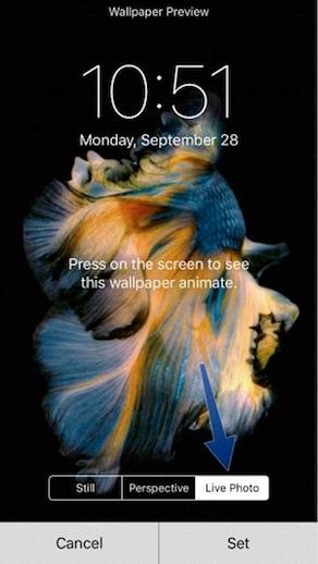 why wont my live wallpaper work
