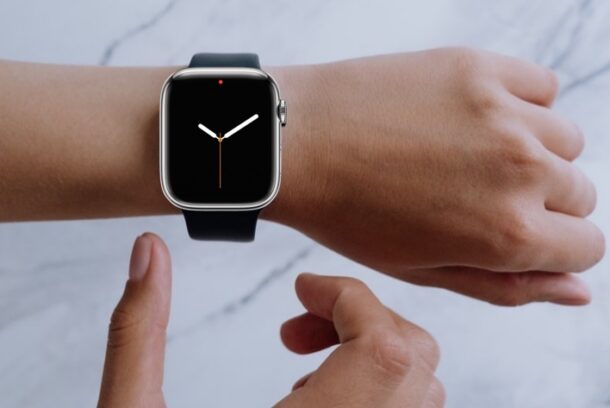 What Does the Red Dot Mean On Your Apple Watch? 1