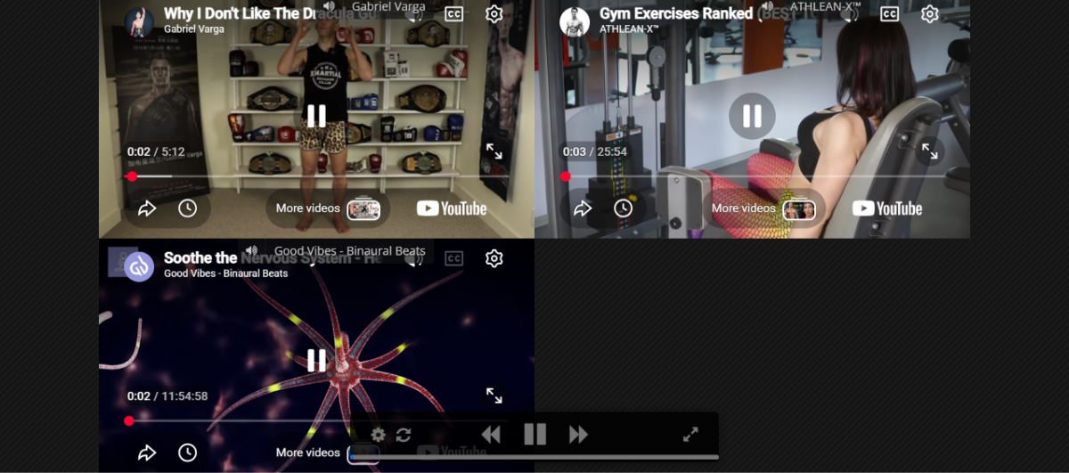 How to Use ViewSync for Multiple Videos?