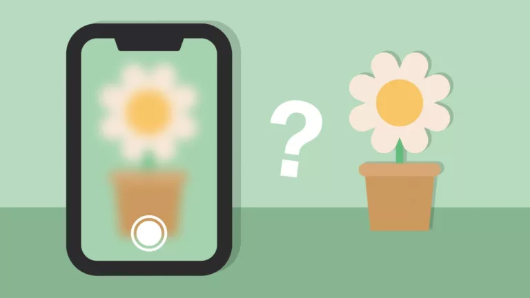 Why is Your Camera Blurry? 6