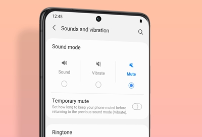 How to Fix Samsung Phone's No Sound During Incoming Calls? 1
