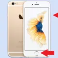 How to Fix iPhone 6 Showing Apple Logo and Shutting Down? 13