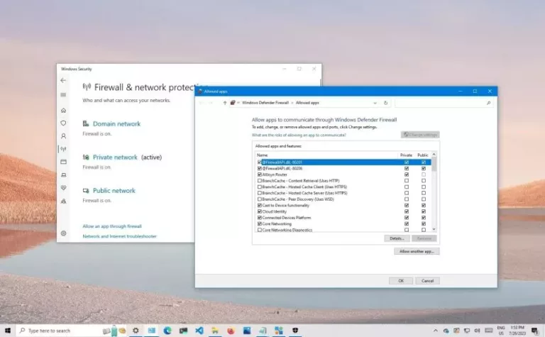 How to Allow a Website Through Firewall? 13