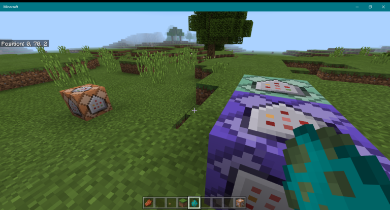 How to Check Coordinates in Minecraft on Windows 10? 17