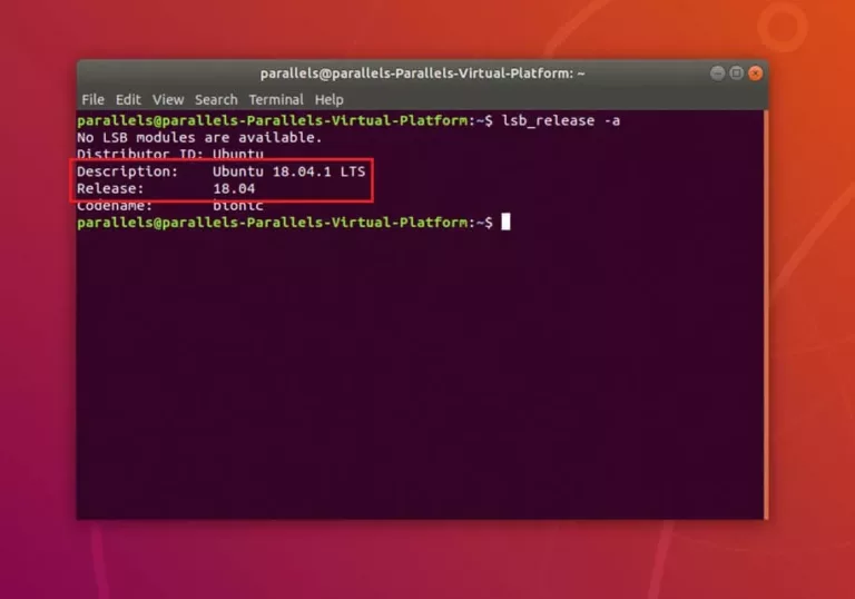How to Check Version on Your Ubuntu System? 11